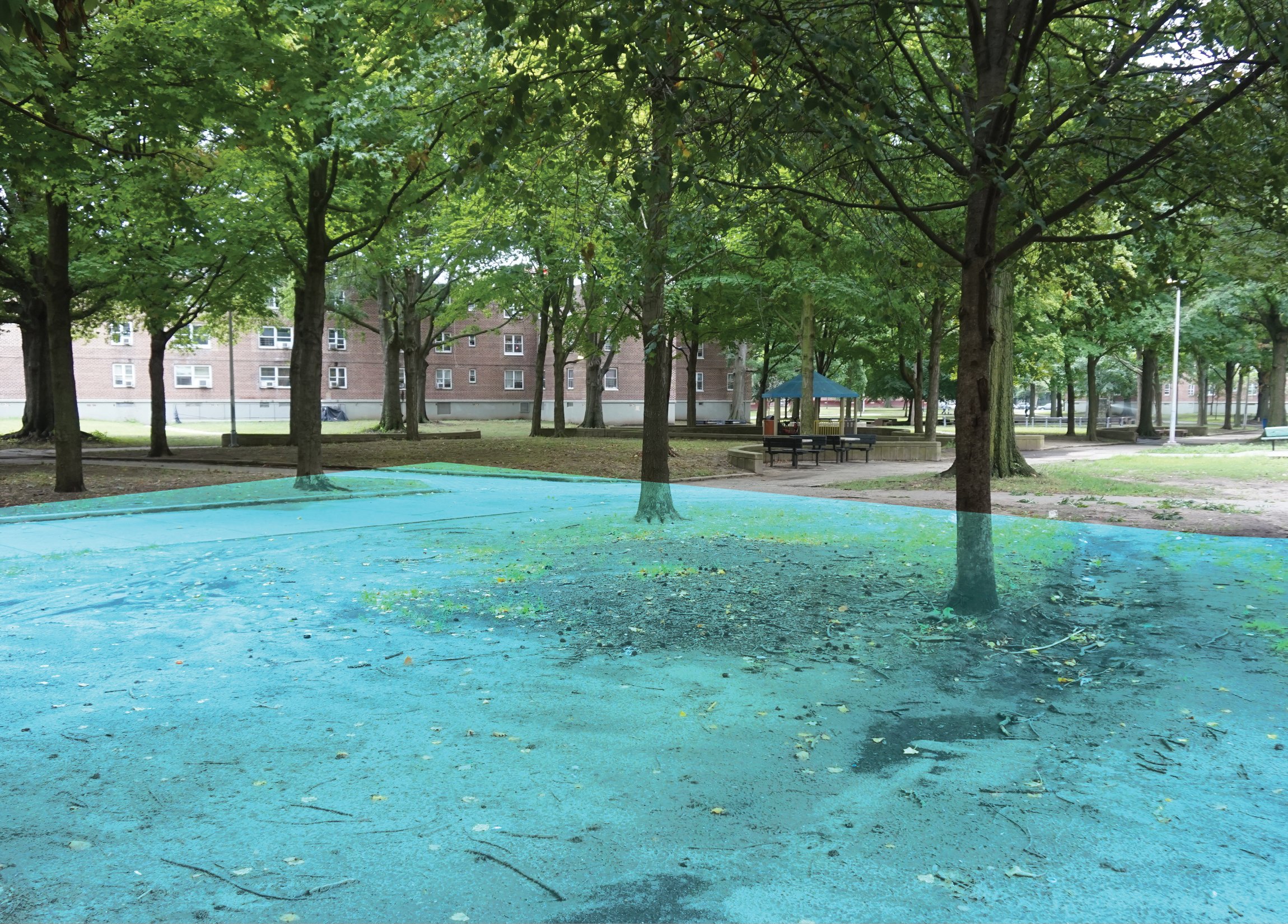 Damage to open lawn areas