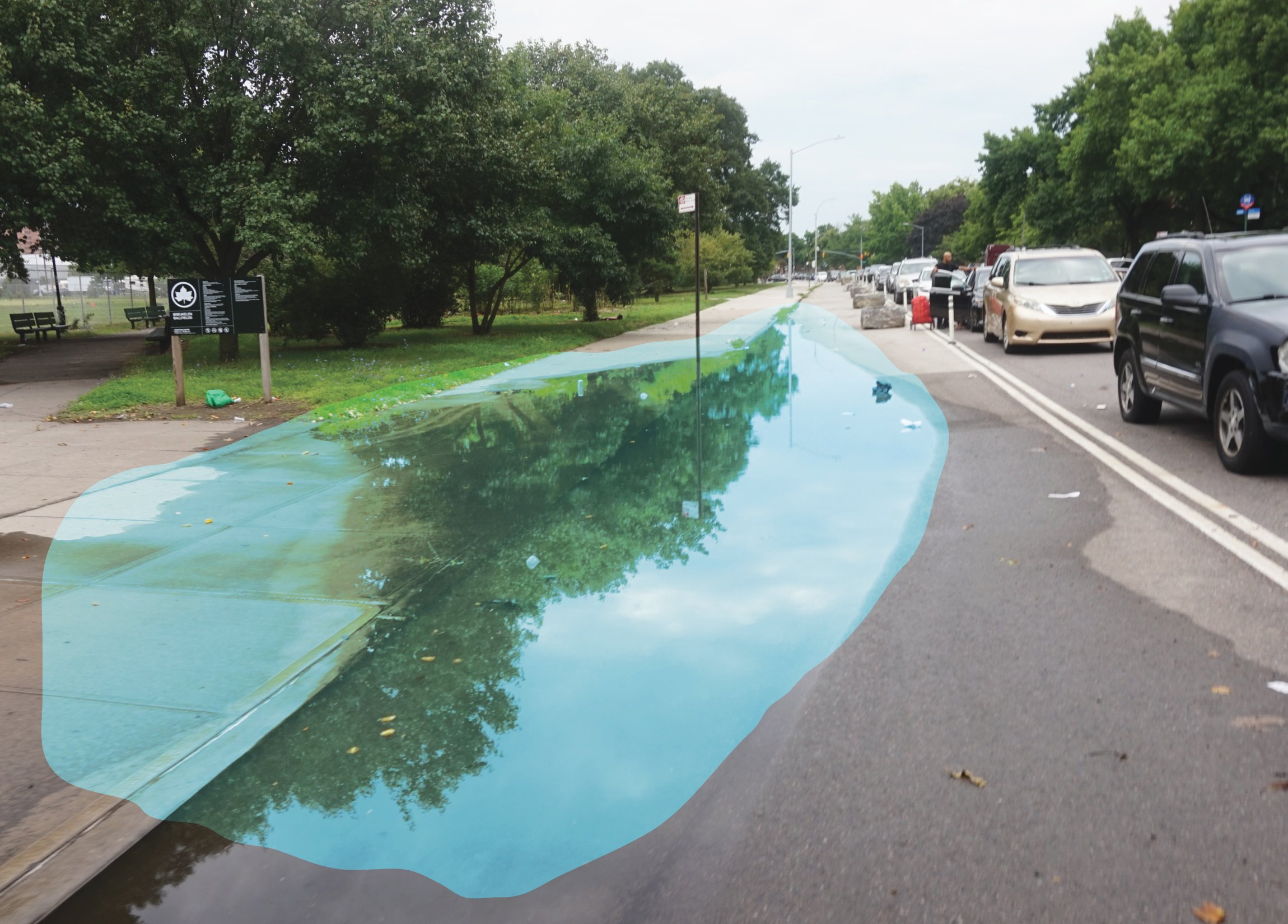 Flooding along roadside and park entrances