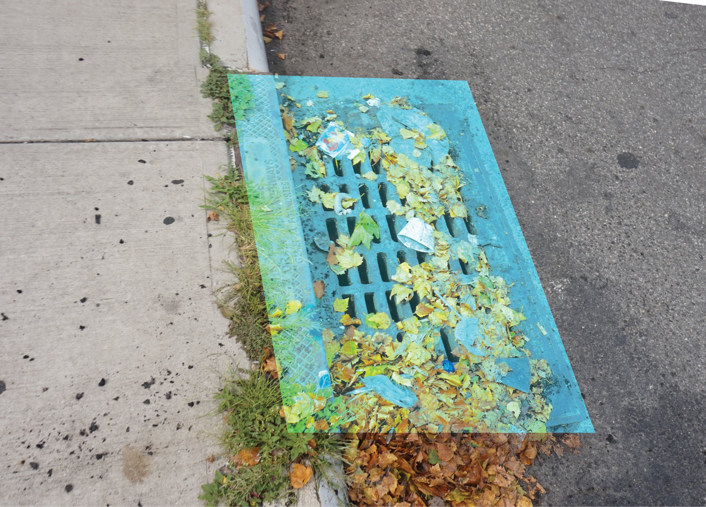 Clogged storm drains from flooding debris