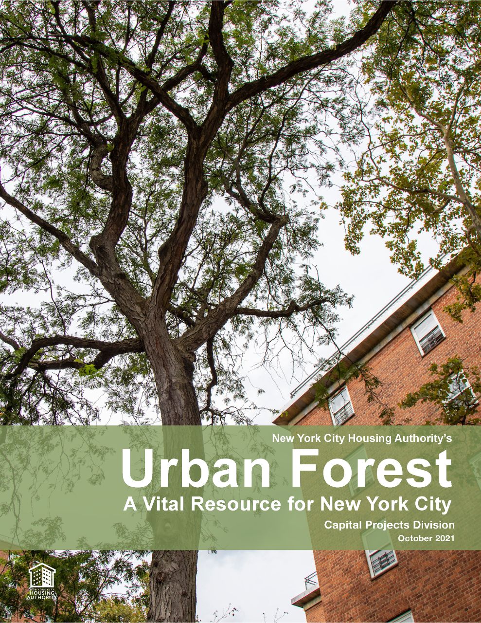 Urban Forest